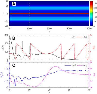 Spontaneous Formations of Dynamical Steady States in Polariton Condensates